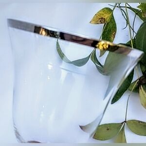 Set of Vintage Platinum Band Stemware